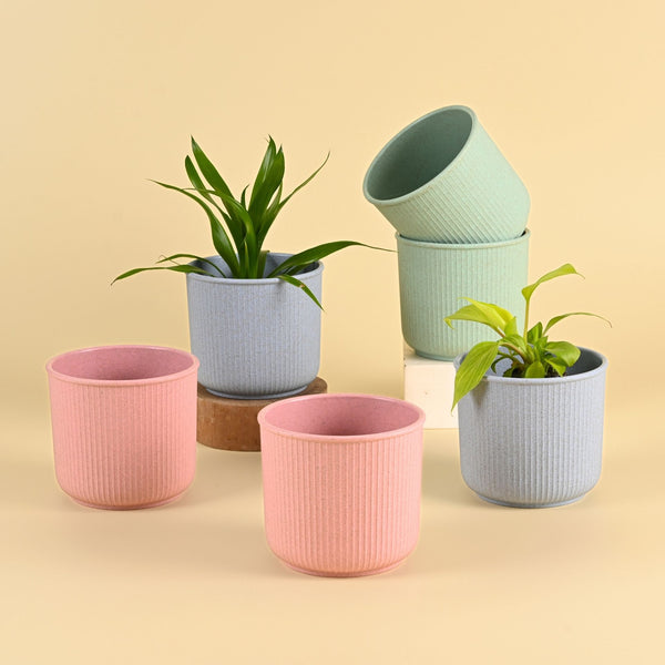 Earth Friendly Statement Pot 4 Inch Planters | Set of 6