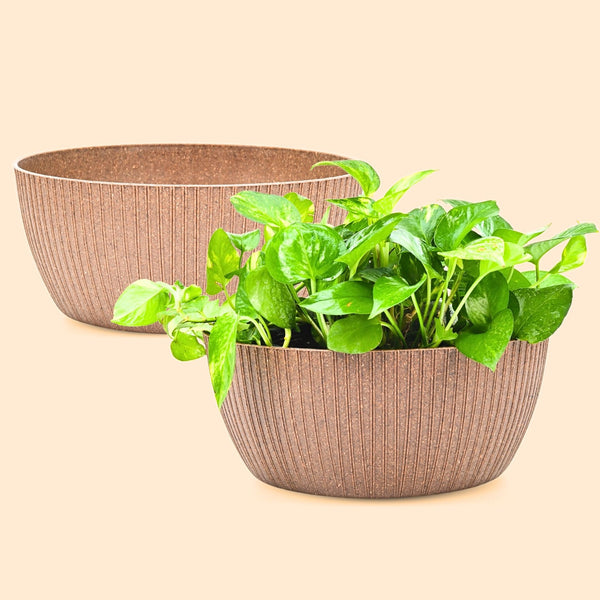 Earth Friendly Planters NatureNest Round 12 Inch set of 2 | Bamboo Based Pots and Planters