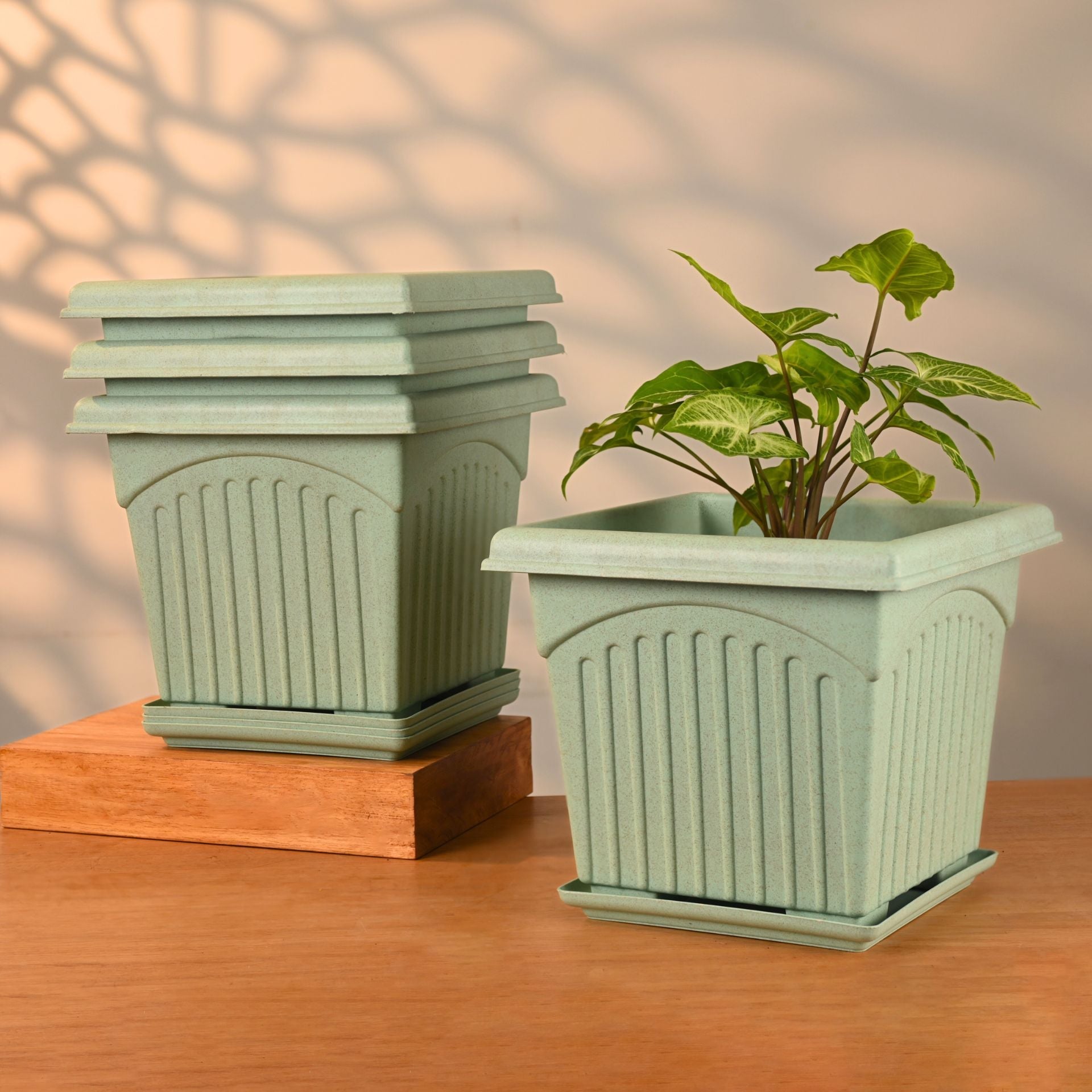 Earth Friendly 10 Archway Planters image 5