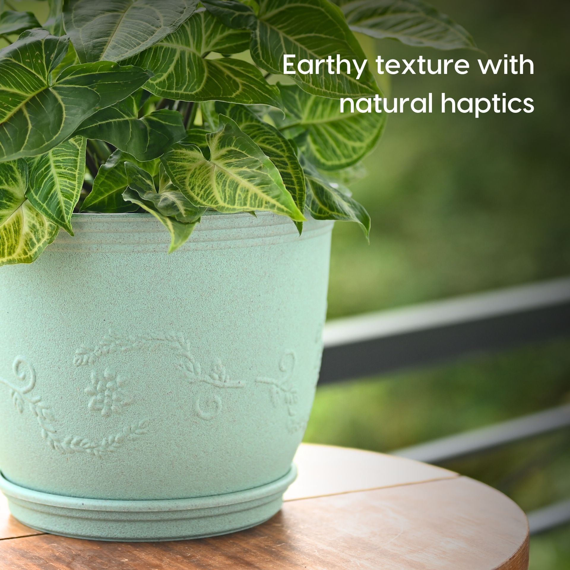 Earth Friendly Planters Leafy 8 image 6