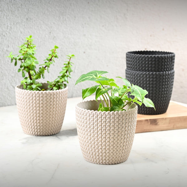 Earth Friendly Link 5.5 inch | Set of 4