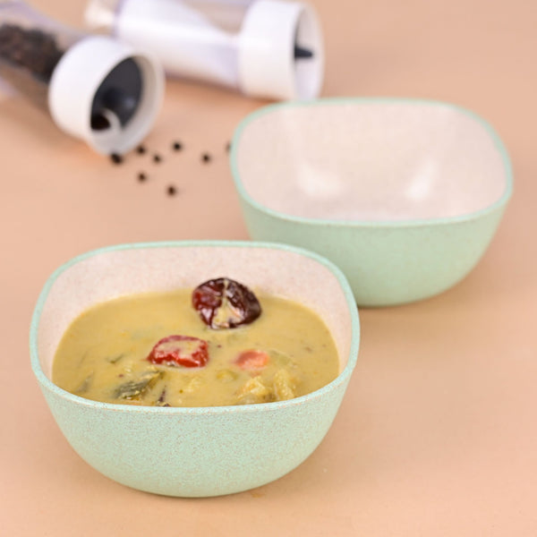 Soup Bowl 300 ml set of 2 | Earth friendly Unbreakable bowls Made with Bamboo Fibers & Rice Husk Fiber