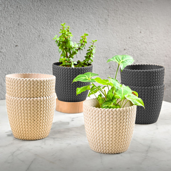 Earth Friendly Link 5.5 inch | Set of 6