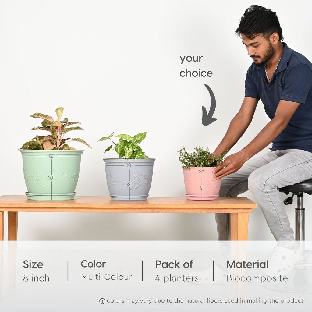 Earth Friendly Planters Leafy 8 image 2