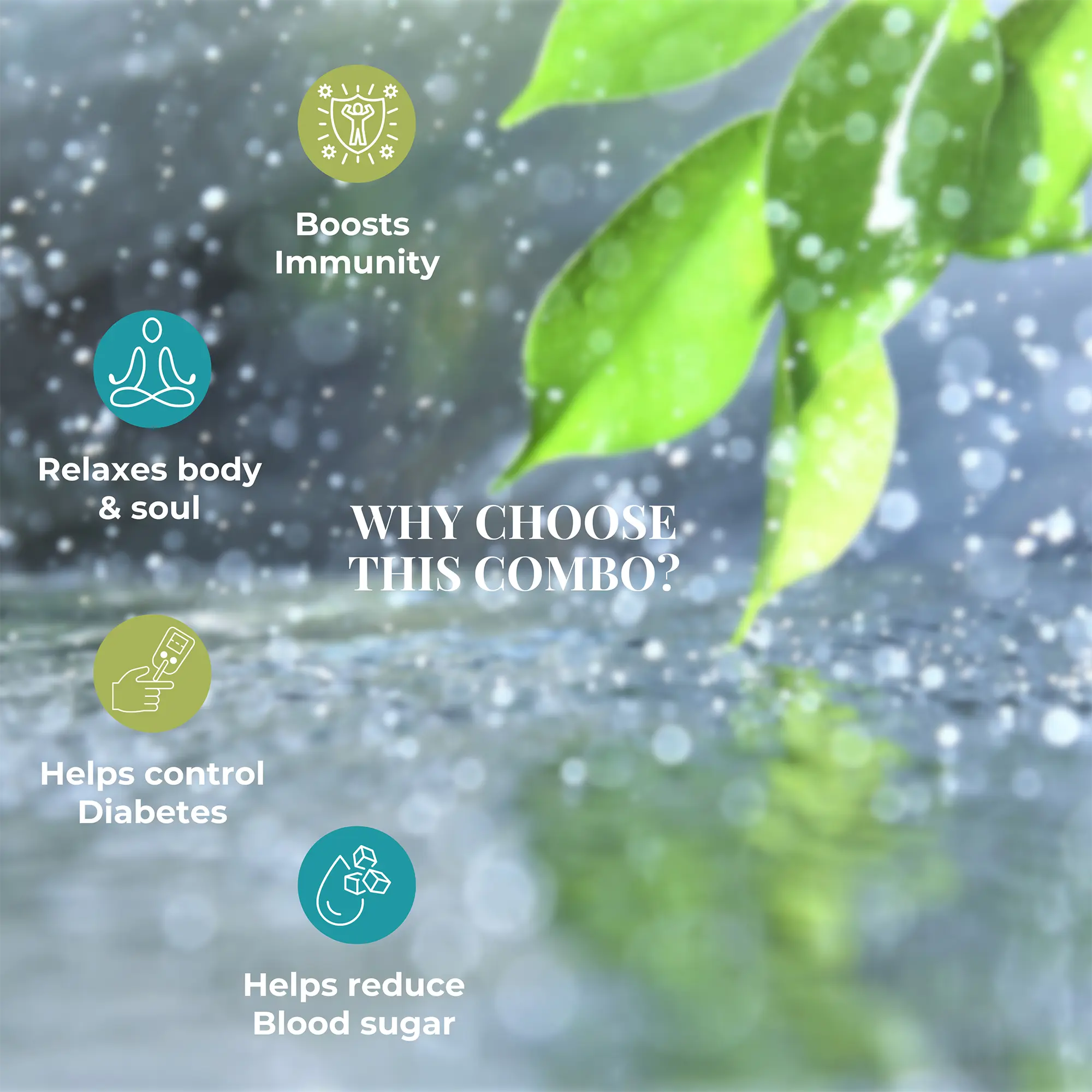 Anti sneeze combo - Anti diabetic + kaffir lime