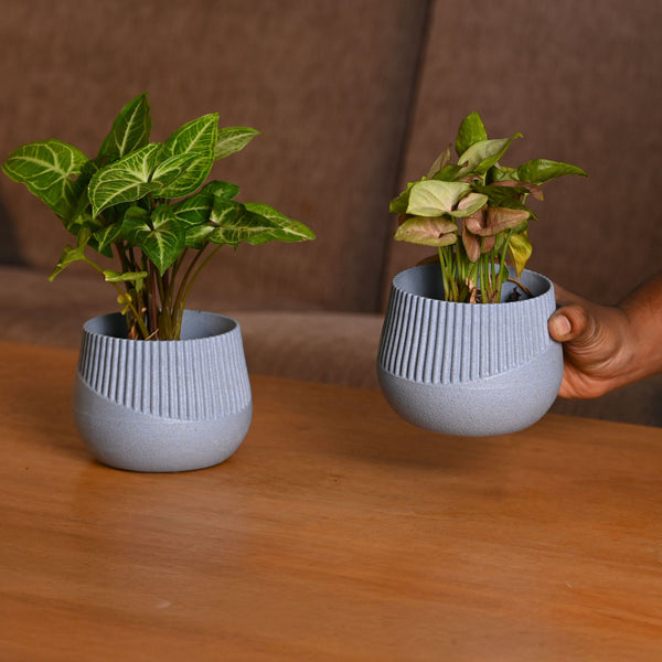 Earth-Friendly Oreo 4 inch small pots | Set of 2