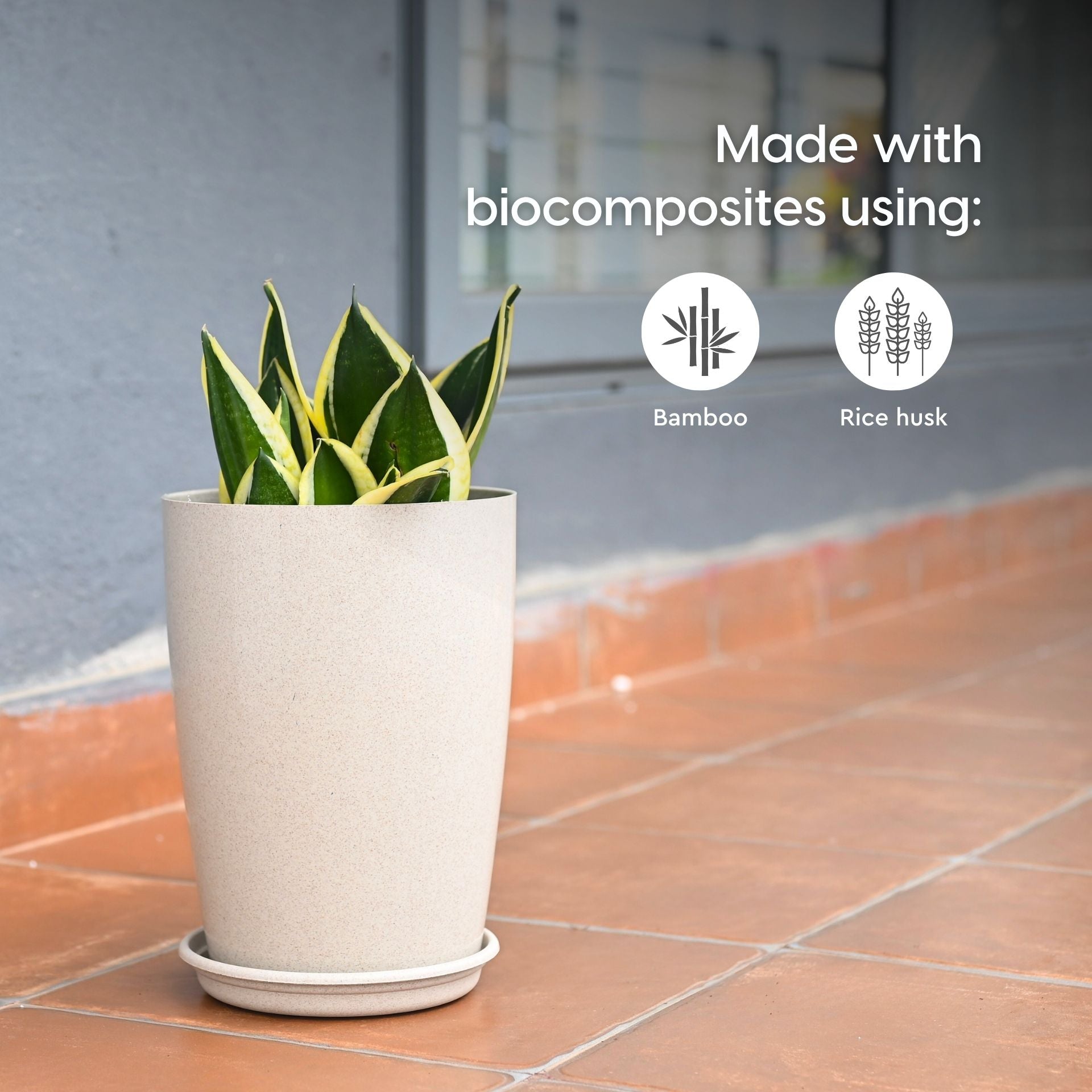 Earth Friendly Cypress 10 2 image 3