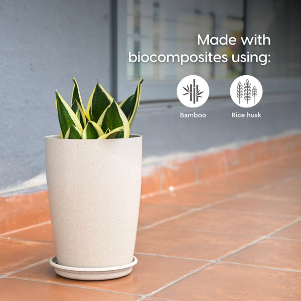 Earth Friendly Cypress 16″ | Set of 2