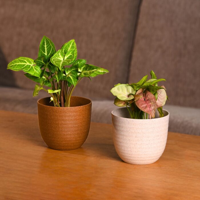 Earth Friendly Planters Verona 4 image 1