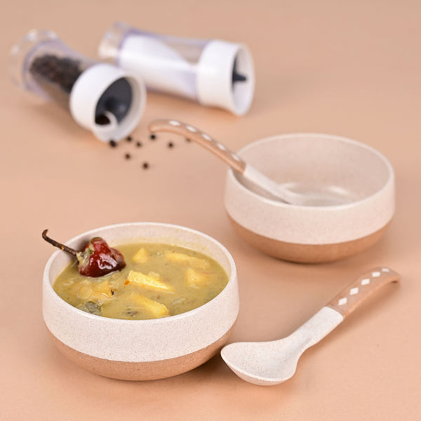 Soup Bowl 250 ml set of 2 | Earth friendly Unbreakable bowls with Spoon