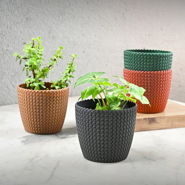 Earth Friendly Link 5.5 inch | Set of 4