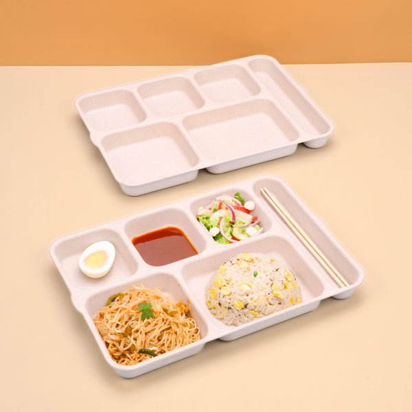 Eha Earth Friendly 6 Partition Plates | Plate Set of 2