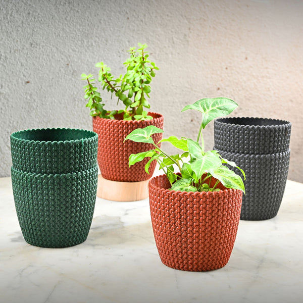 Earth Friendly Link 5.5 inch | Set of 6