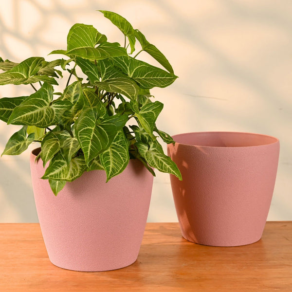 Earth-Friendly Deco Planters 9 Inch set of 2 | Bamboo Based Pots and Planters