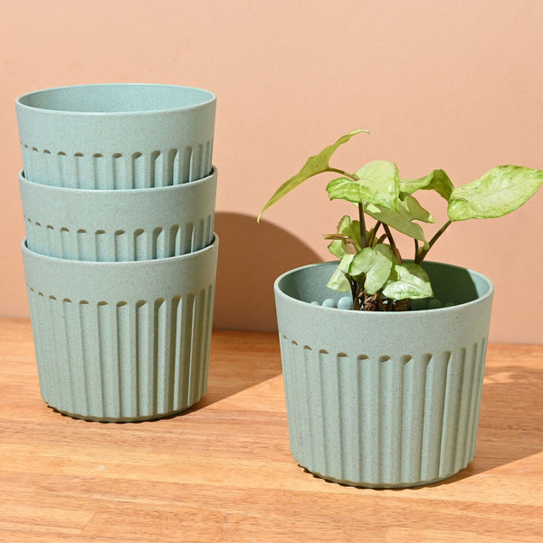 Earth Friendly Romano 5 inch | Set of 4