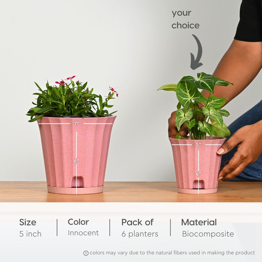 Earth Friendly Ace 5 inch image 2