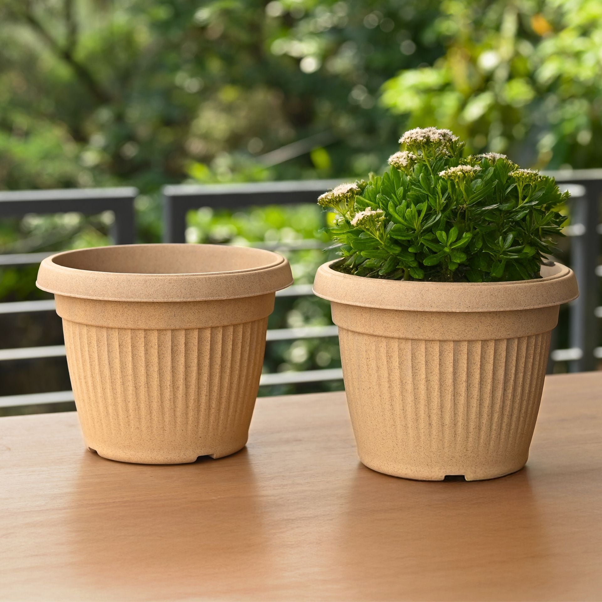 Earth-Friendly Planters BellaRound 10 Inch set of 2 | Bamboo Based Pots and Planters