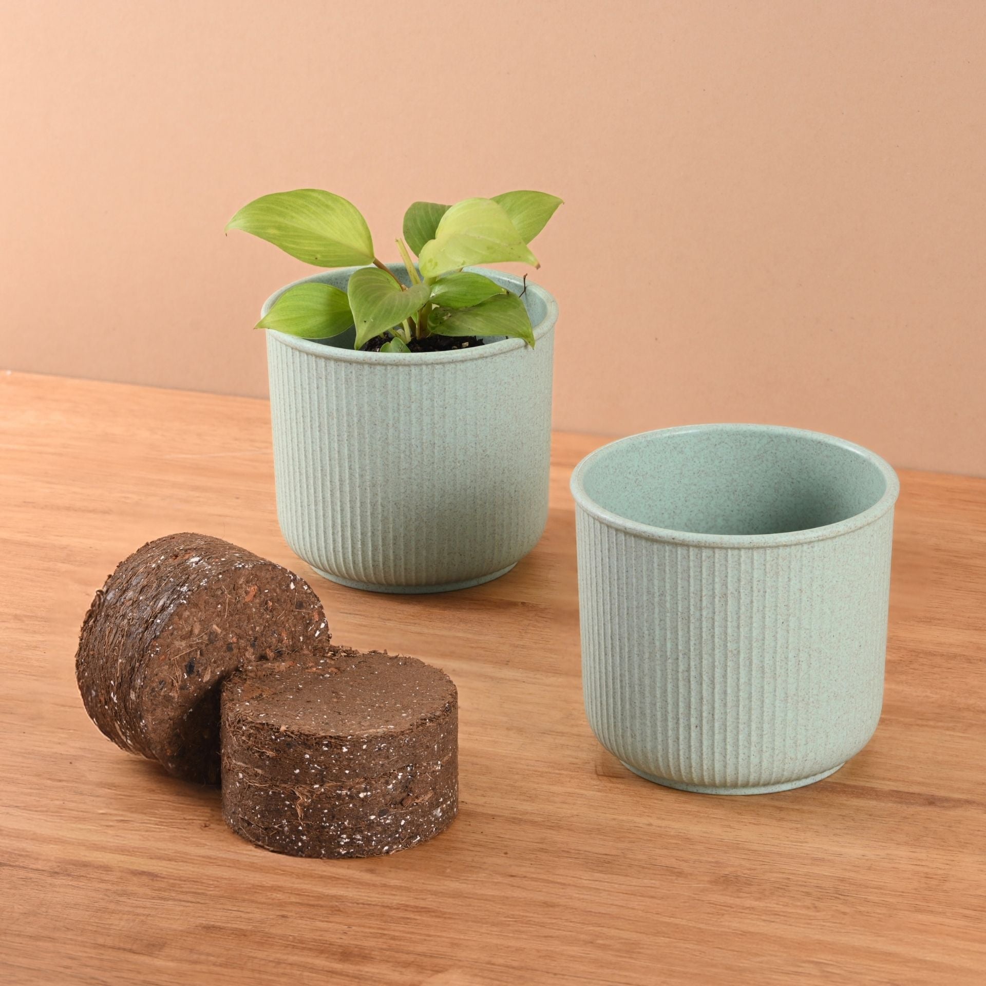 Earth Friendly Statement Pot 4 Inch Pots and Planters with Growmix | Set of 2