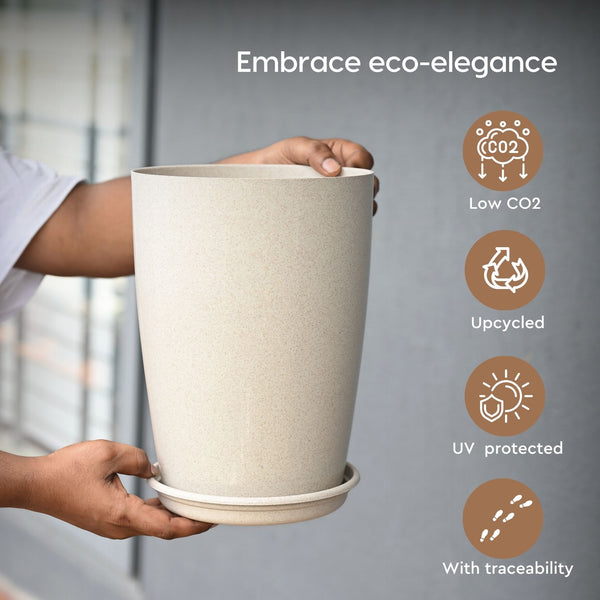 Earth Friendly Cypress 16″ | Set of 4