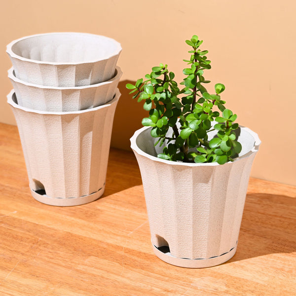 Earth Friendly Ace 7 inch | Set of 4