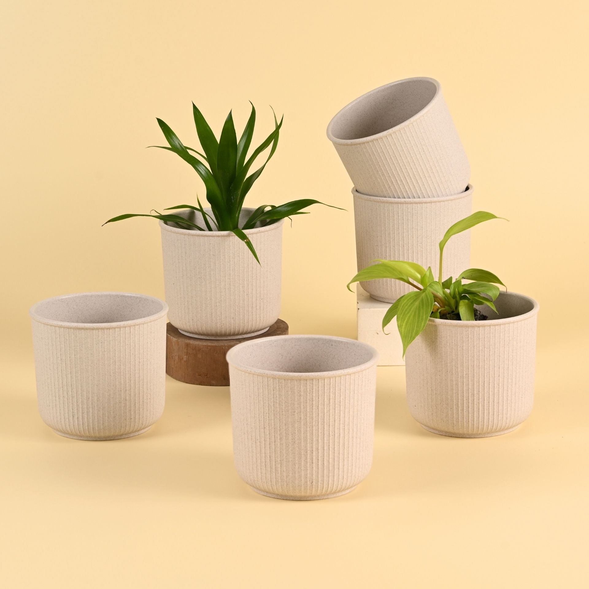 Earth Friendly Statement Pot 4 Inch Planters | Set of 6