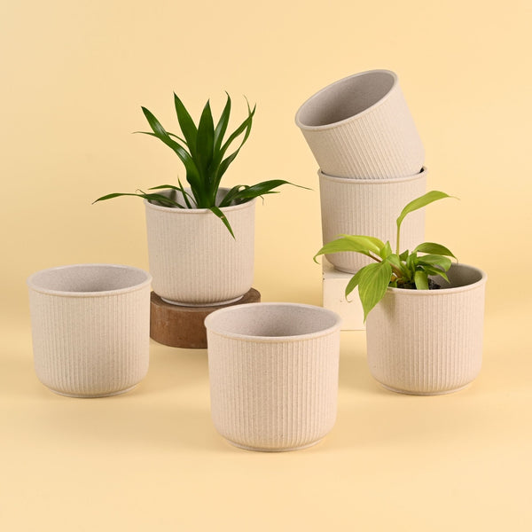 Earth Friendly Statement Pot 4 Inch Planters | Set of 6