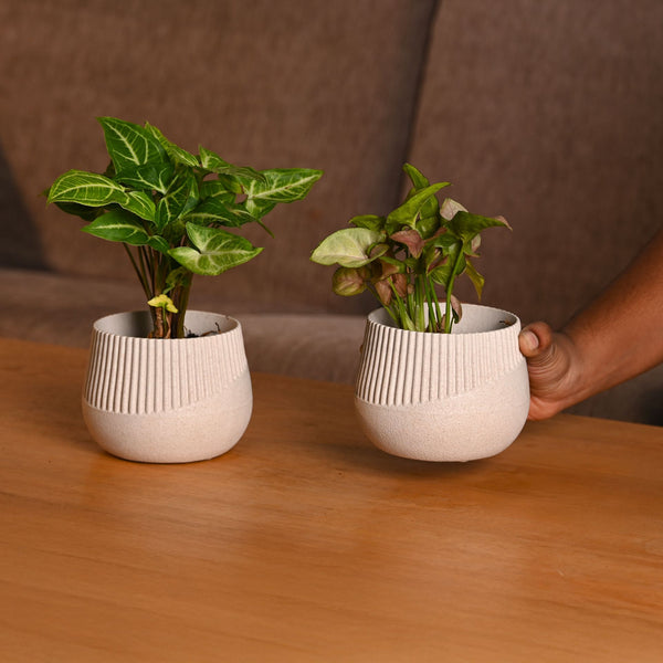 Earth-Friendly Oreo 4 inch small pots | Set of 2