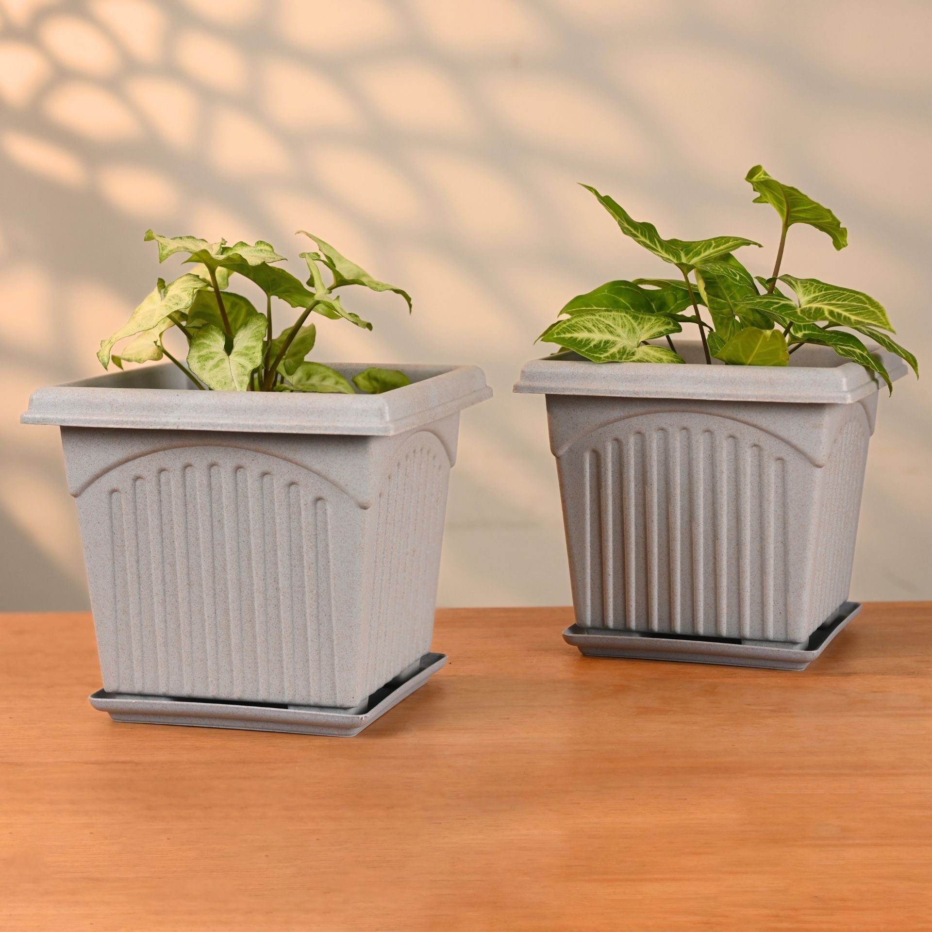 Earth Friendly 8″ Archway Planters with Tray | Set of 2