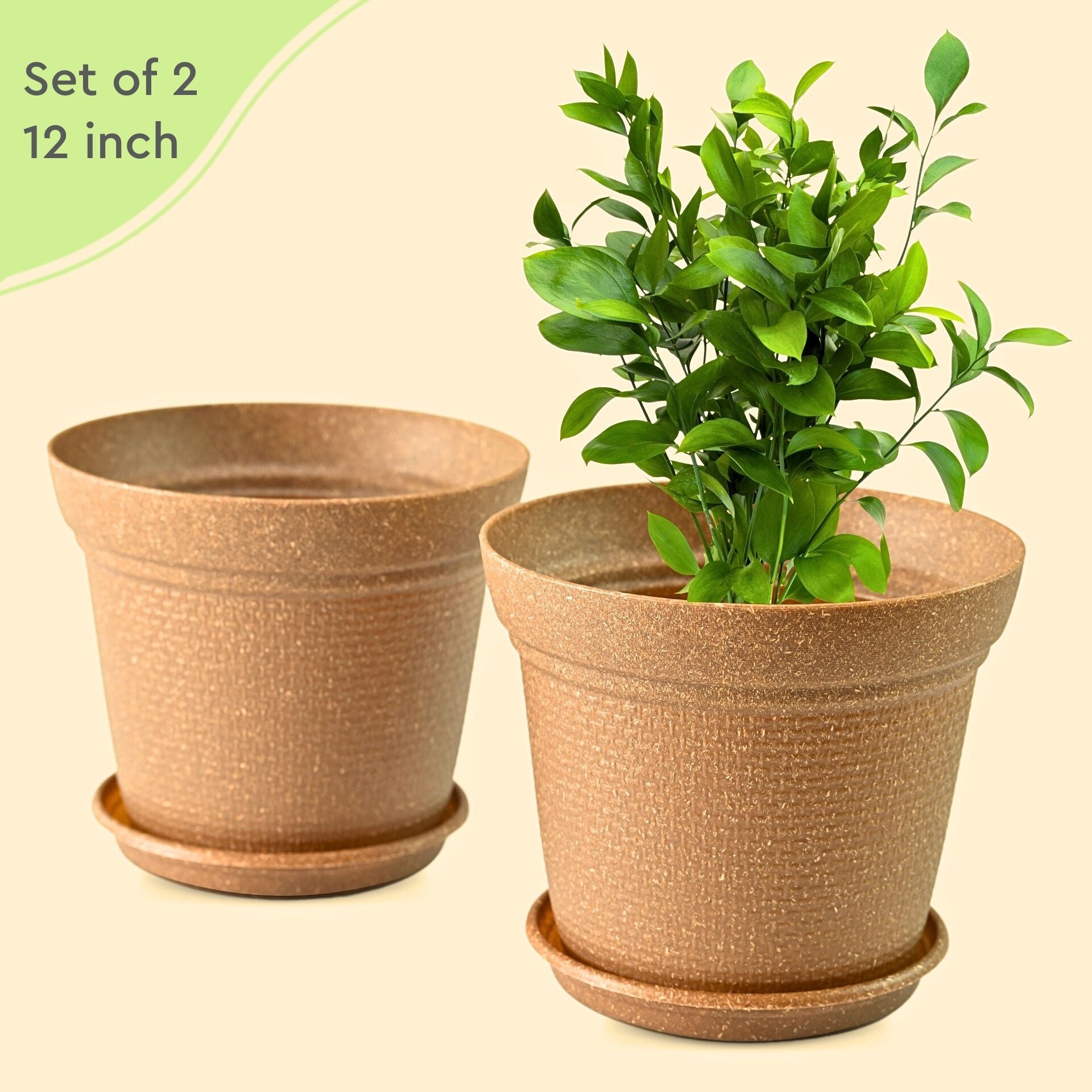 Earth-Friendly Planters Aura 12 Inch set of 2 | Bamboo Based Pots and Planters