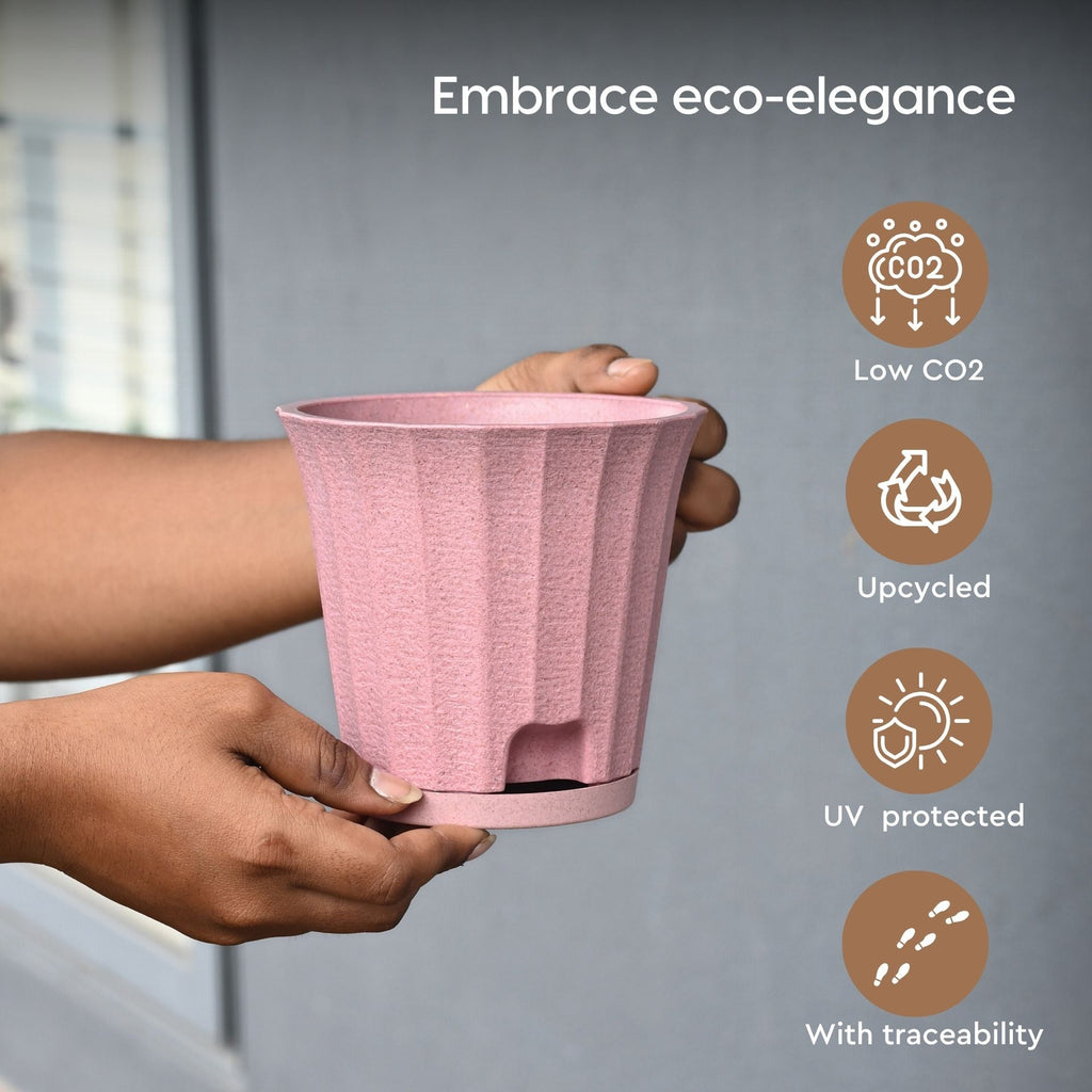 Earth Friendly Ace 5 inch image 3