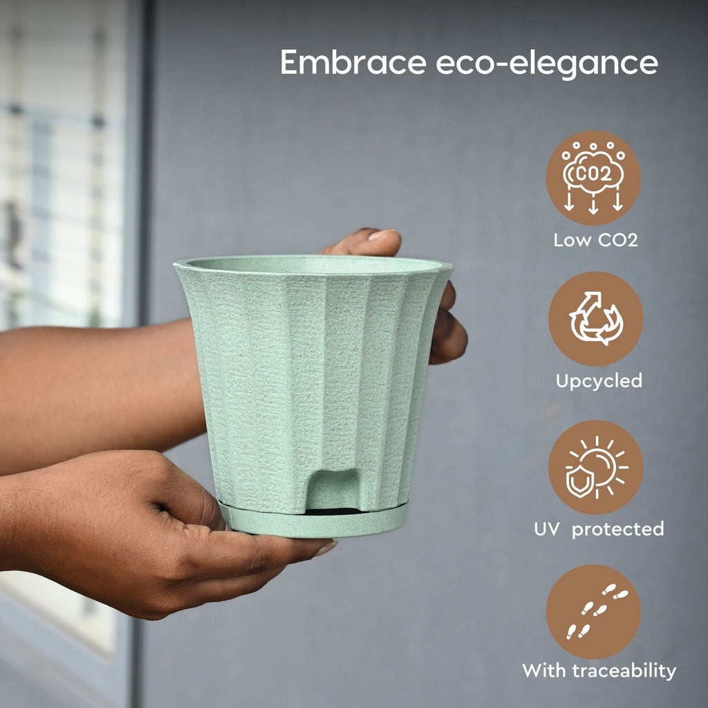 Earth Friendly Ace 5 inch image 3