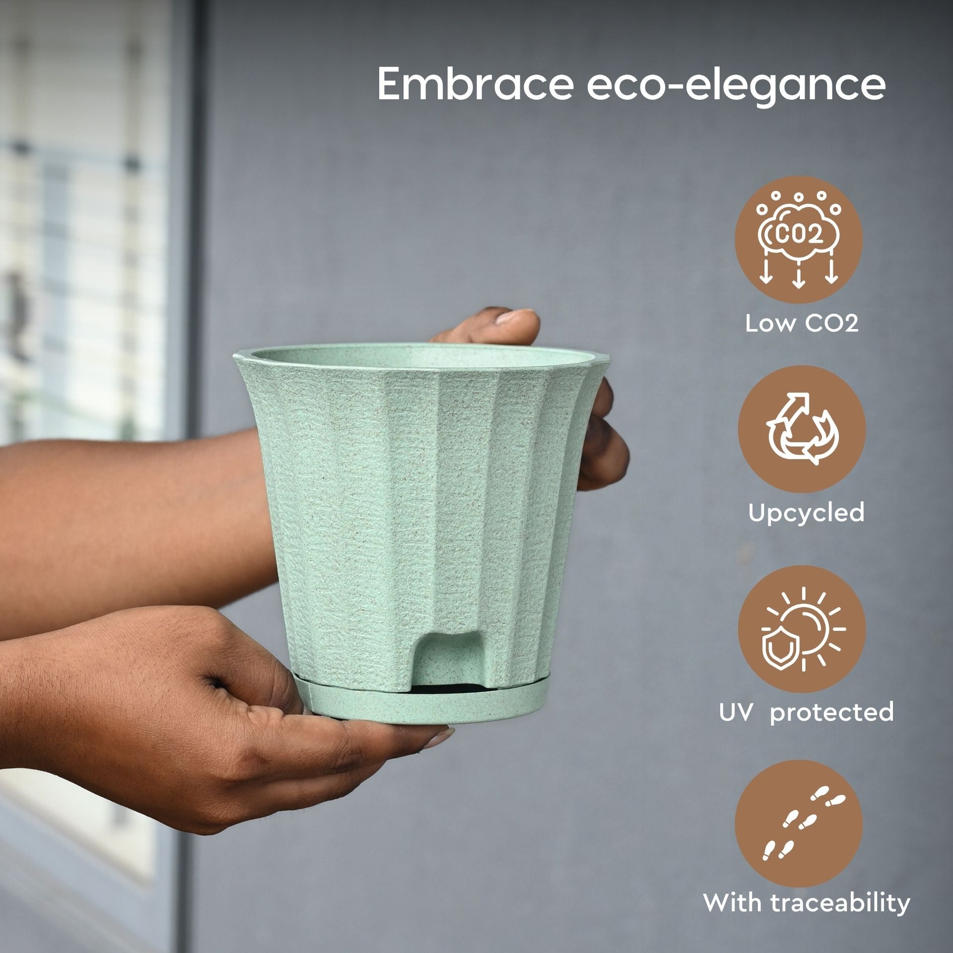 Earth Friendly Ace 5 inch image 3