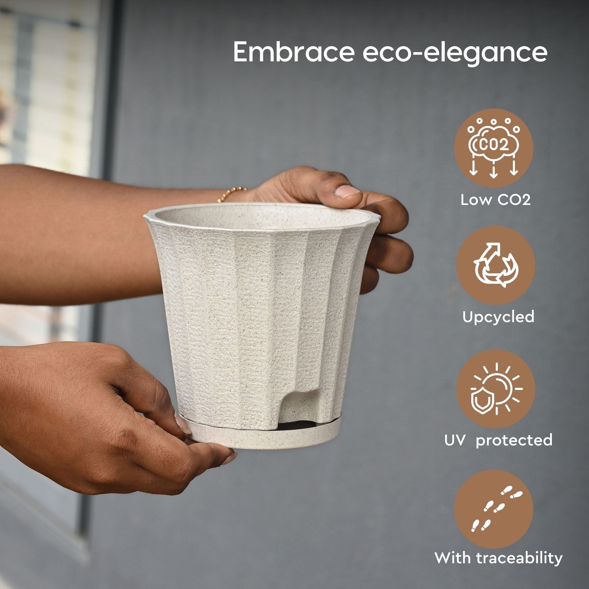 Earth Friendly Ace 5 inch image 5