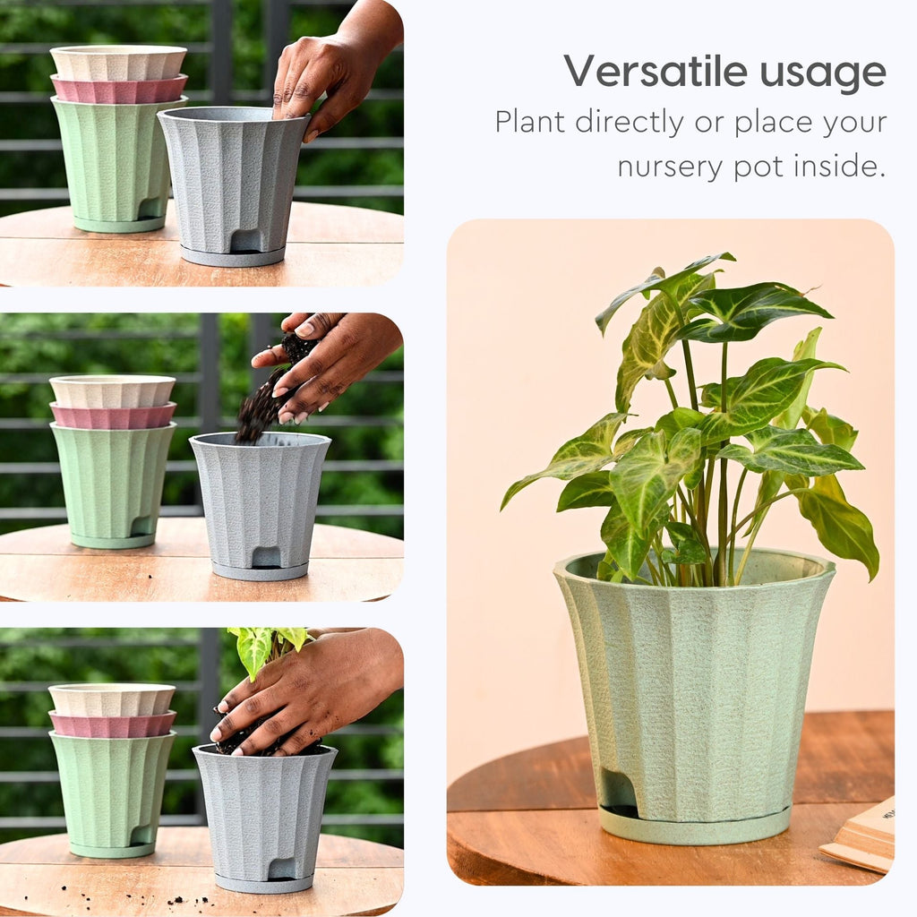 Earth Friendly Ace 5 inch image 4