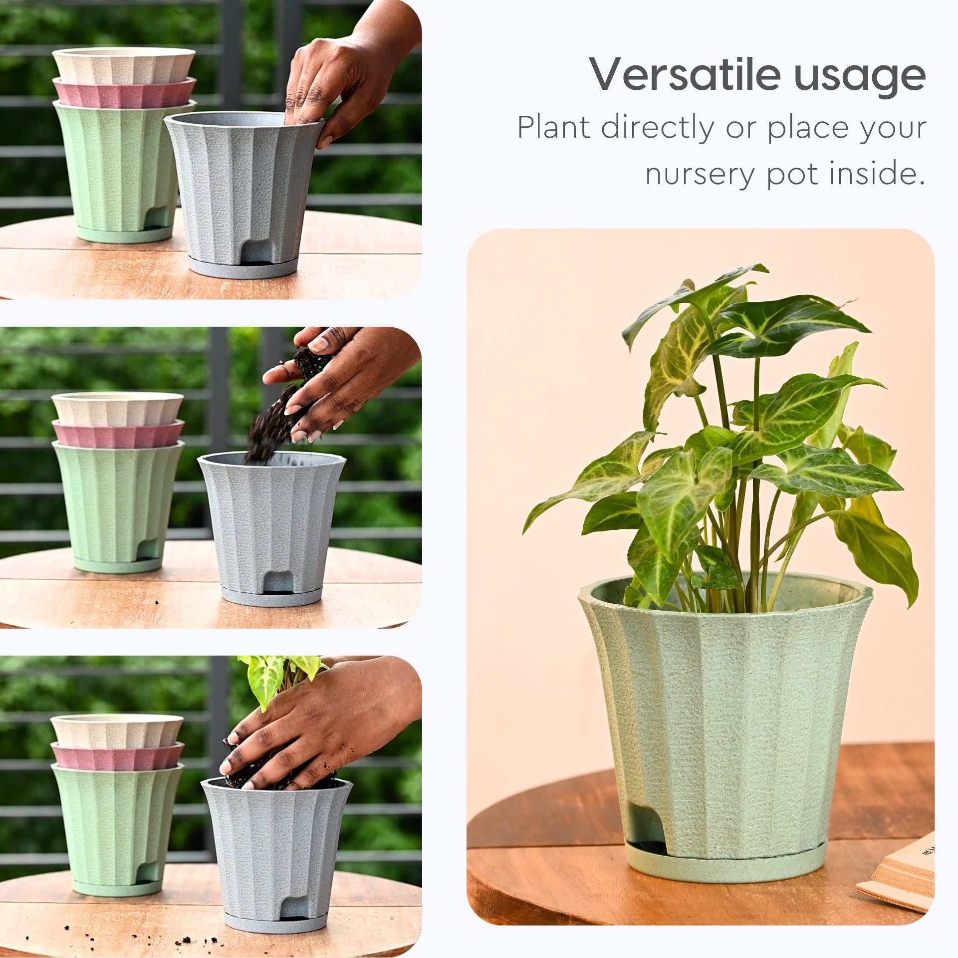 Earth Friendly Ace 5 inch image 4