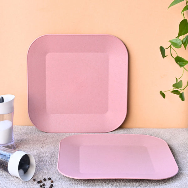 Picnic Plate 9 inch set of 2 | Earth friendly Unbreakable Plates Made with Bamboo Fibers & Rice Husk Fiber