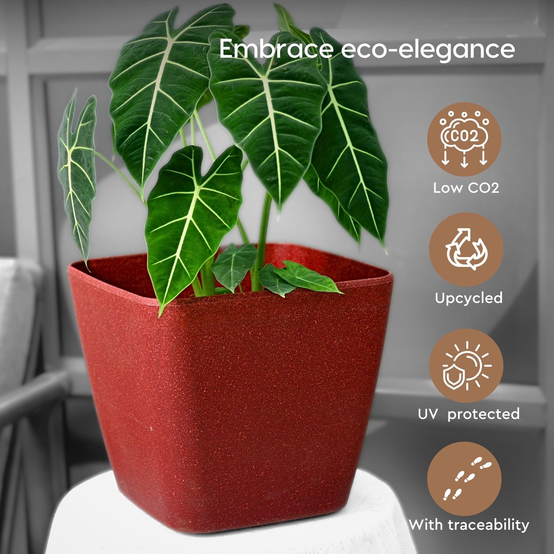 Earth Friendly Daisy Self Watering image 5