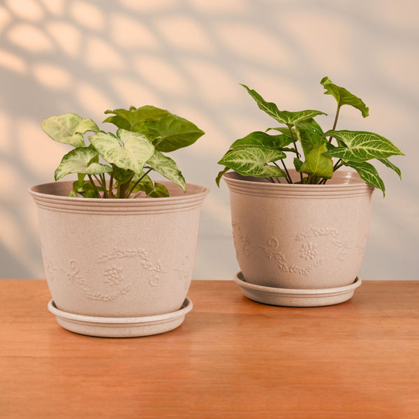 Earth-Friendly Planters Leafy 8 Inch set of 2 | Bamboo Based Pots and Planters with tray