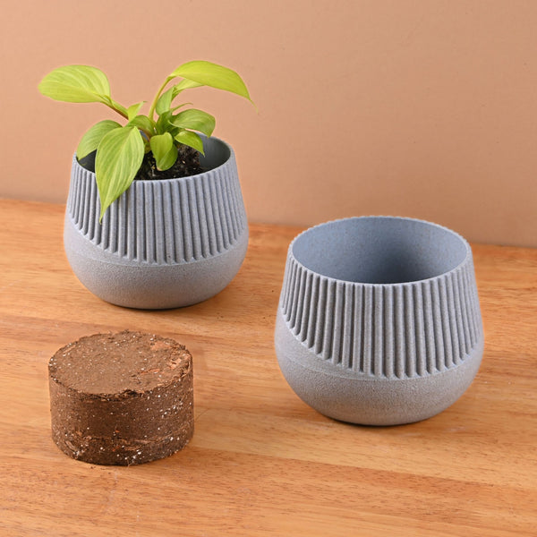 Earth Friendly Oreo 4 inch Small pots for Indoor Plants with 1 Growmix | Pack of 2