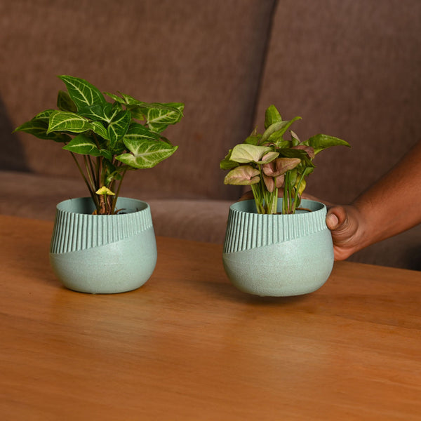 Earth-Friendly Oreo 4 inch small pots | Set of 2