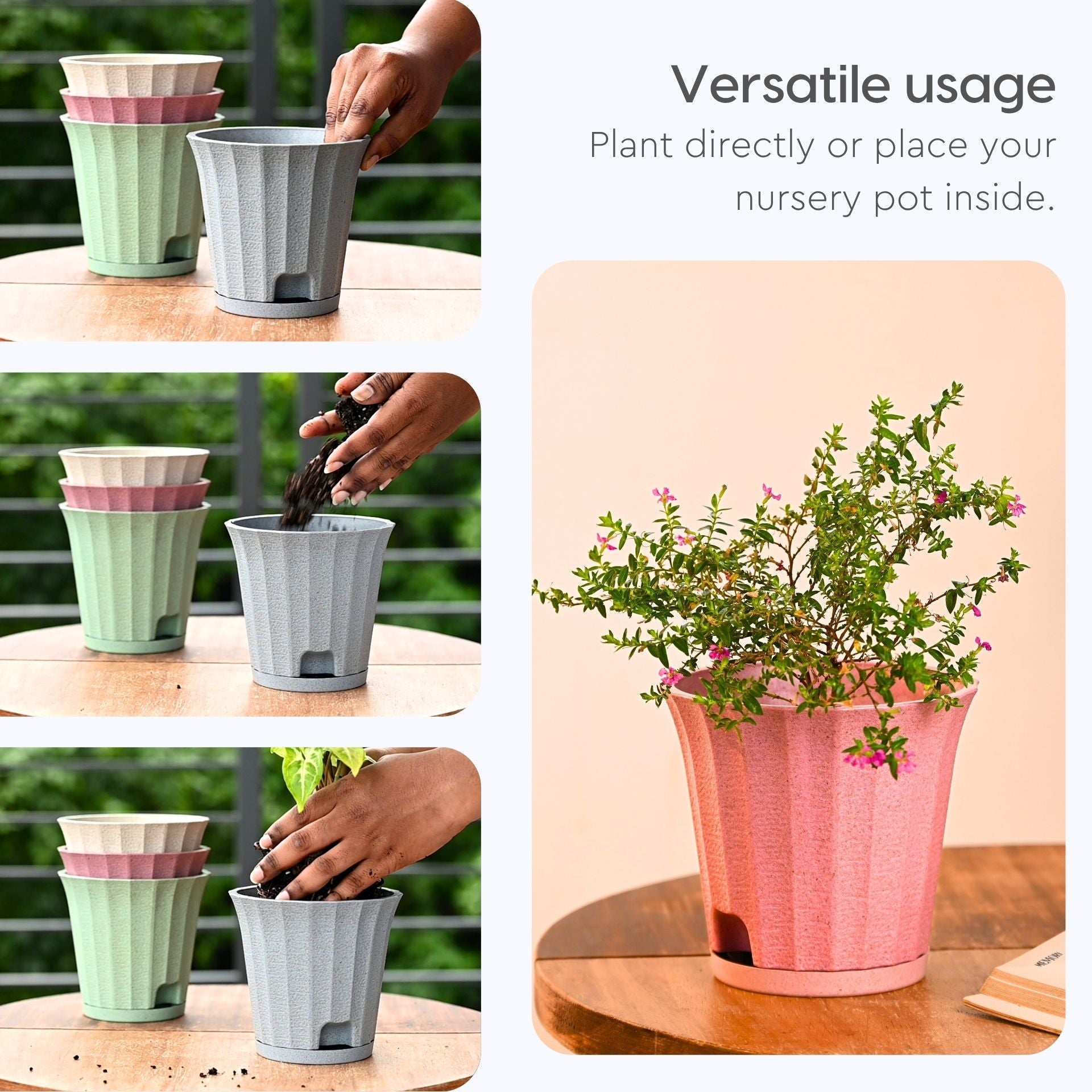 Earth Friendly Ace 5 inch image 4