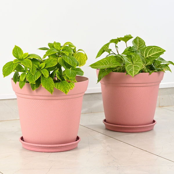 Earth-Friendly Planters Aura 12 Inch set of 2 | Bamboo Based Pots and Planters