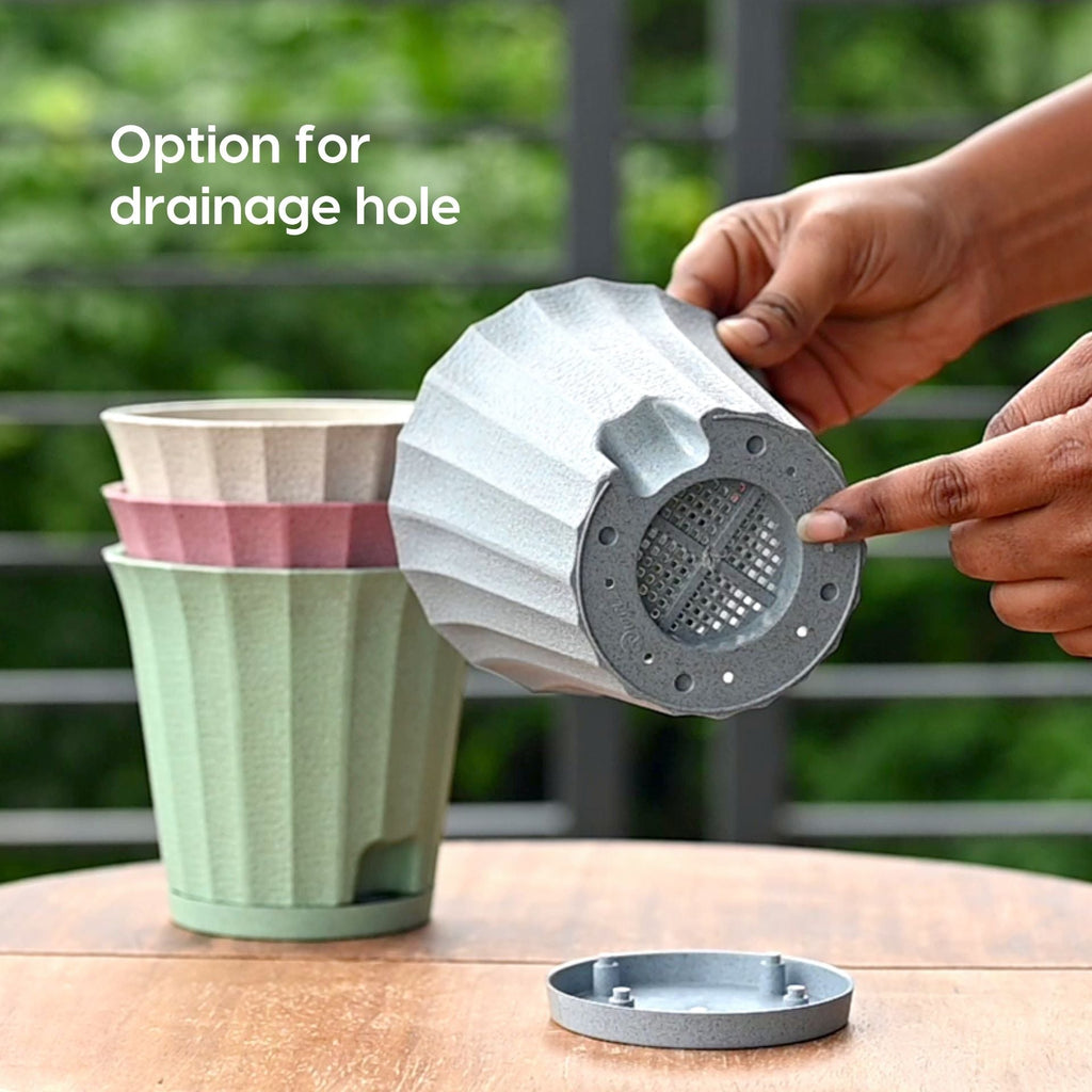 Earth Friendly Ace 5 inch image 4