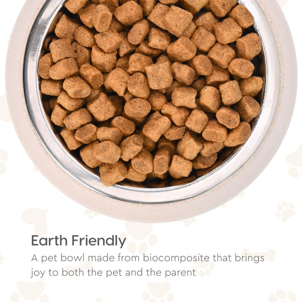 EcoSteel 2-in-1 Feeding Pet Bowl | 450 ml