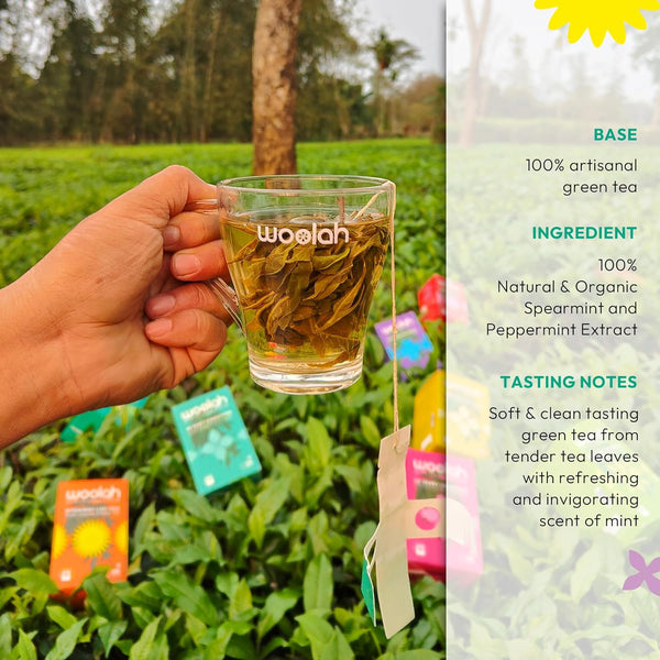 Rare Assam Green Tea + Mint | Fresh Harvest