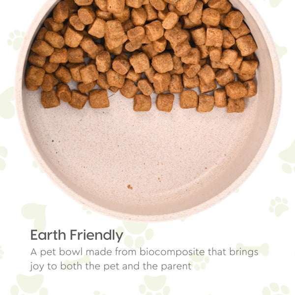 EcoBlend Antiskid Pet Bowl | 700 ml