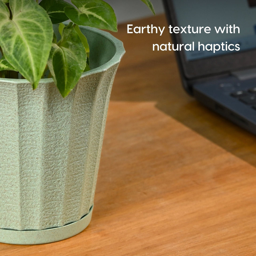 Earth Friendly Ace 5 inch image 6