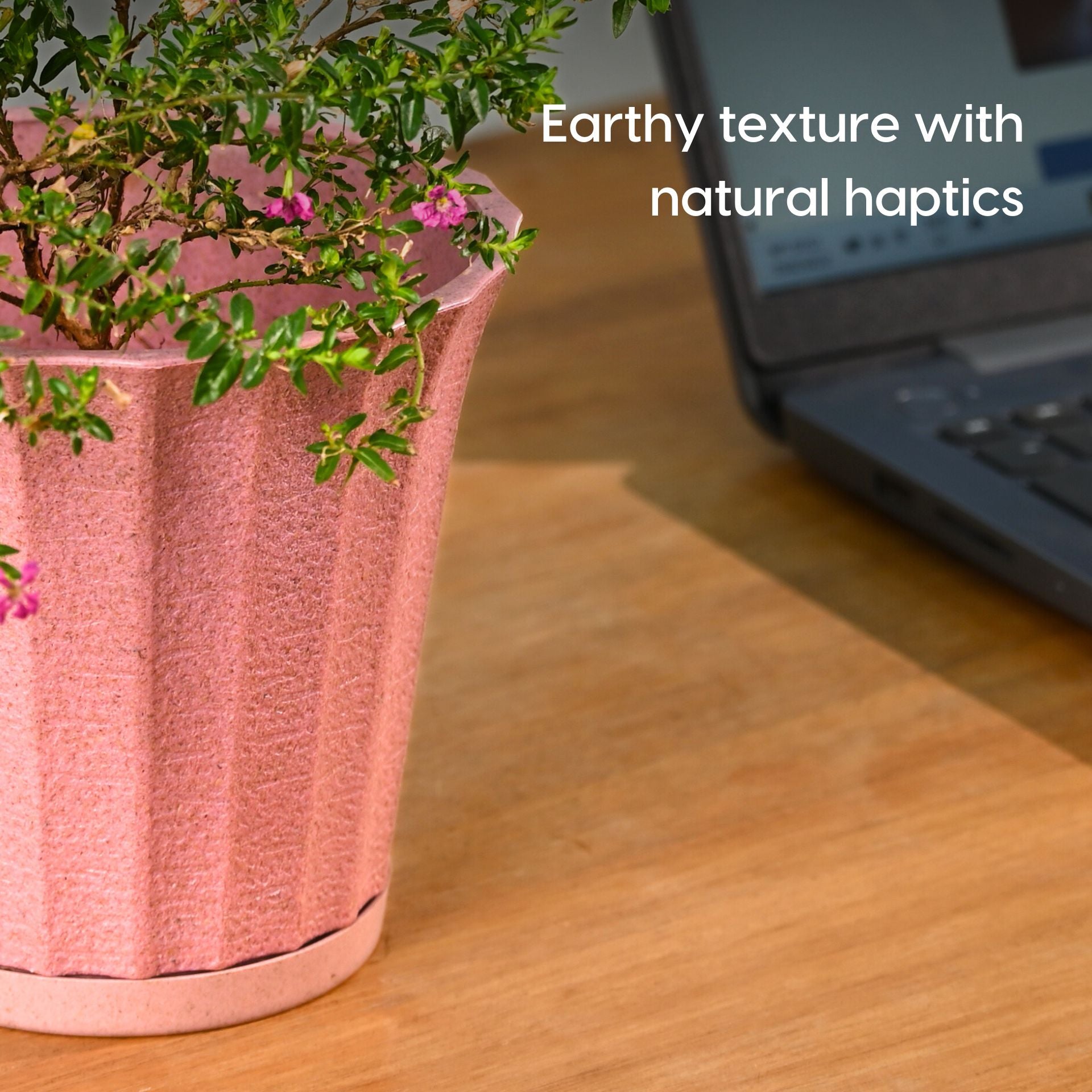 Earth Friendly Ace 5 inch image 6