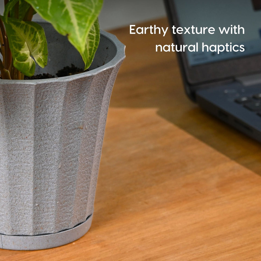 Earth Friendly Ace 5 inch image 6