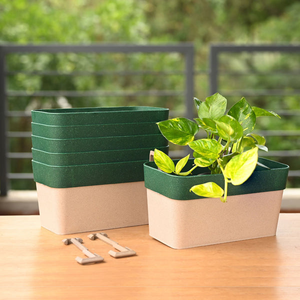 Earth Friendly Planters DuoSling 11 inch | Set of 6
